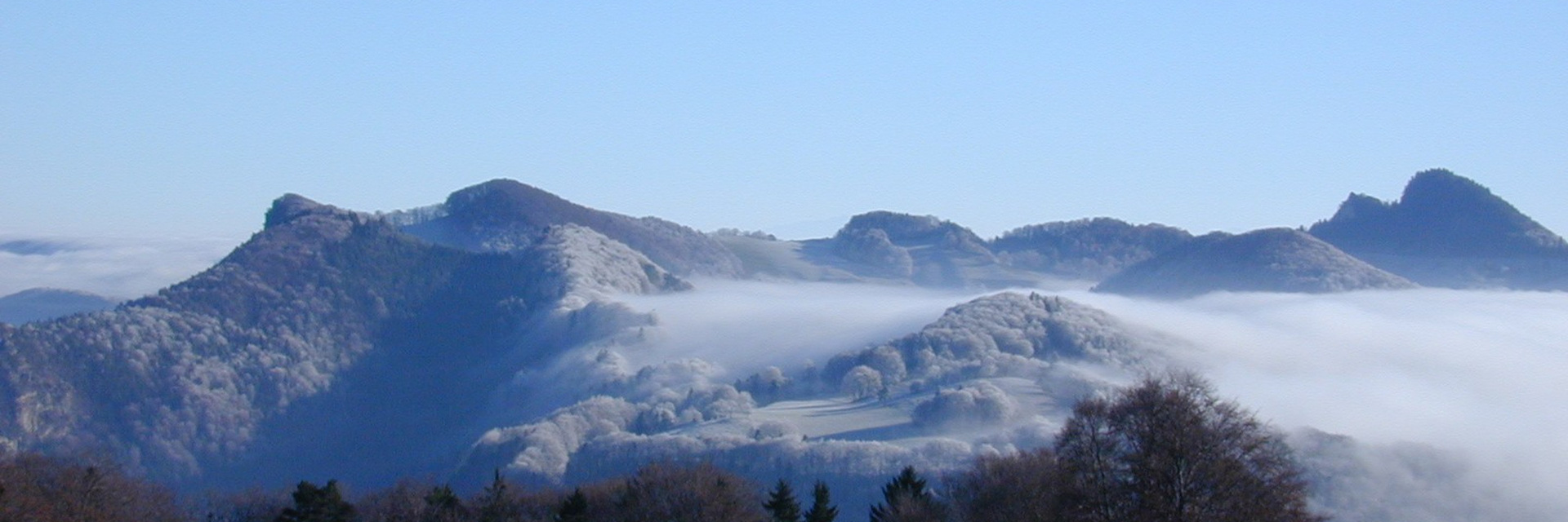 DSC 00N0251 DSC 00N0251
